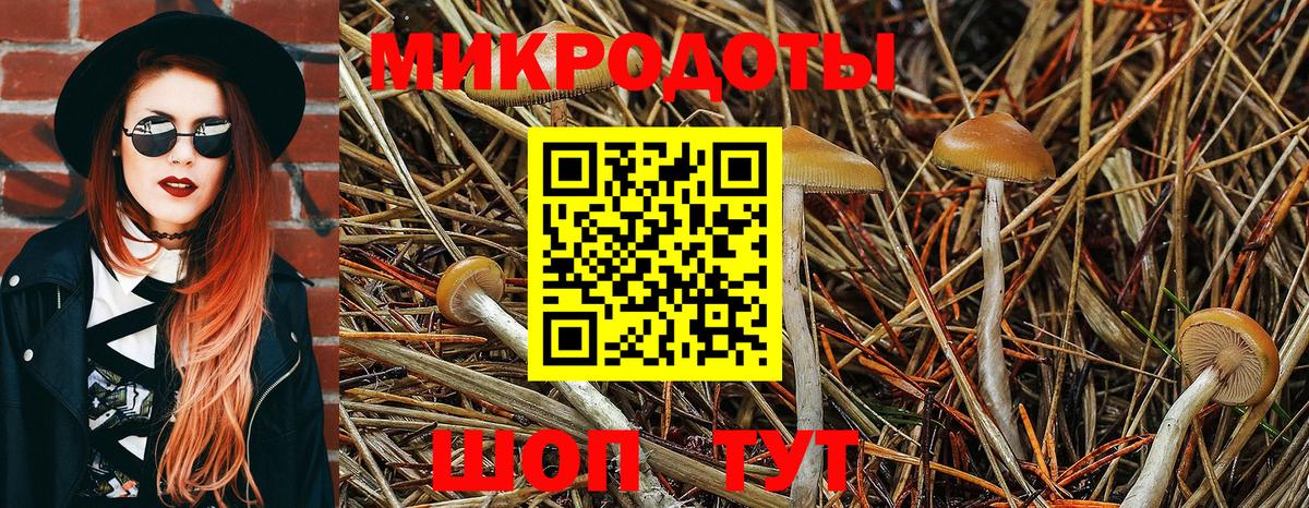 Метадон  Вход с VPN  Cocaine  Сегежа  Гашиш  APVP СК   МЕТ  COCAIN  Конопля  Меф  