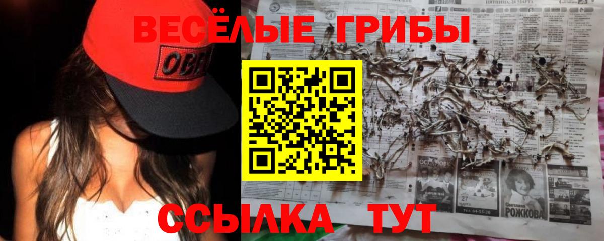 Галлюциногенные грибы MAGIC MUSHROOMS  Вход с VPN  Сегежа 